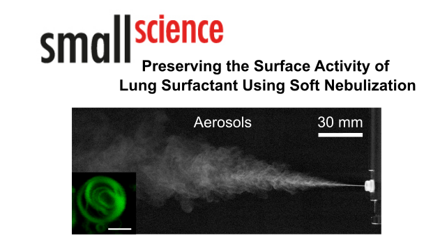 lungPaper